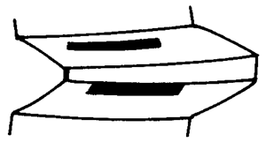 FX݆͜pX݆g(sh)Zӹ݆X|zԇ